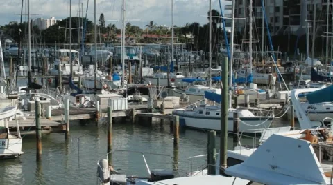 85.avi Vídeos de archivo 942470