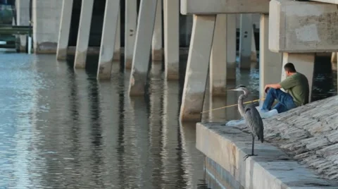 85.avi 動画素材 942539