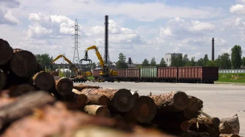 86. Unloading of construction timber from freight cars. Stock Footage 93045780