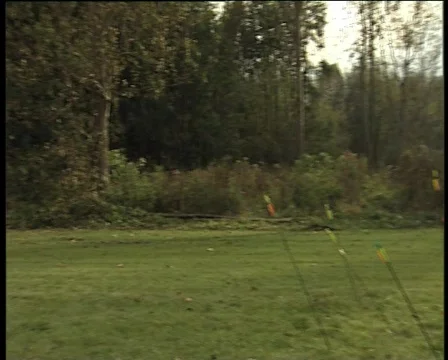 87 arrows missing target Stock Footage 371123
