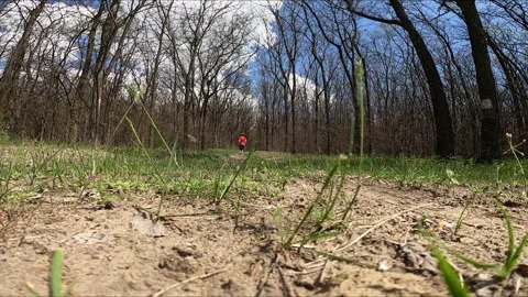 87 running away from the forest Stock Footage 308325990