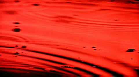 8783055 Stock Footage 640568