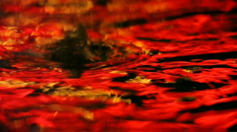 8787581 Stock Footage 640587