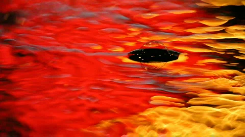 8788371 Stock Footage 640929