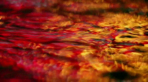 8798872 Stock Footage 640939