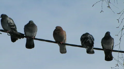 8798971 Video stock 640953