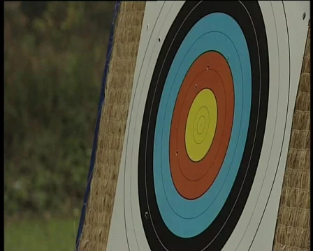 88 arrows on target Stock Footage 371089