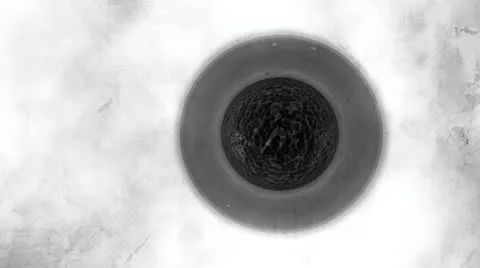 88 BW cell division cool mytosis Stock Footage 11418919