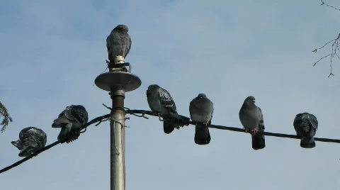 8801127 Stock Footage 640956