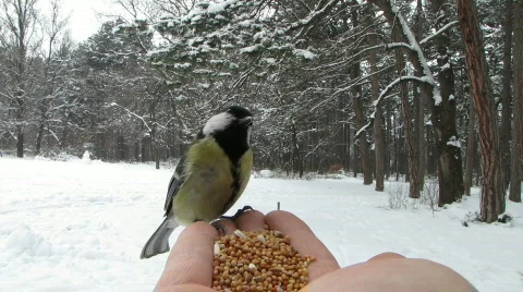 8803003 Stock Footage 640947