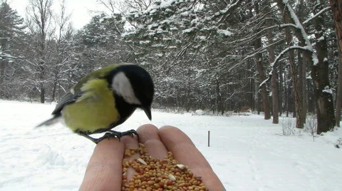 8803979 Stock Footage 641008