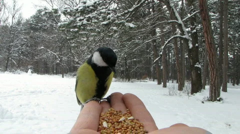 8804157 Stock Footage 641051