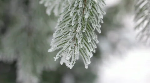 8804220 Video stock 641074