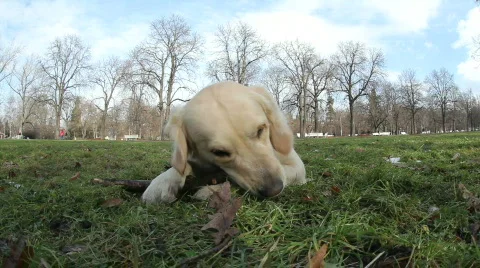 8804581 Stock Footage 641088