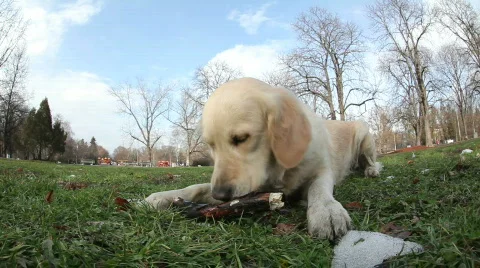 8804619 Stock Footage 641097