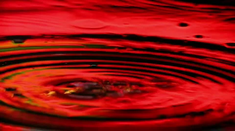 8804649 Stock Footage 641412