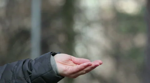 8808190 Stock Footage 641435