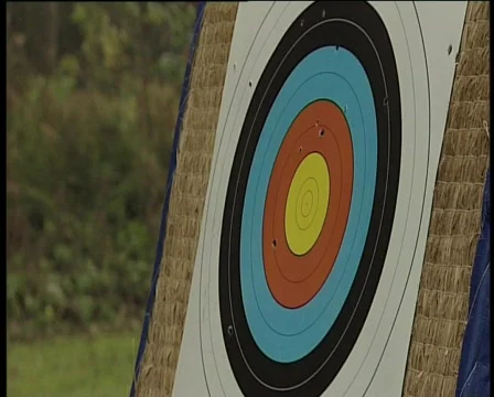 89 arrows on target Stock Footage 371121