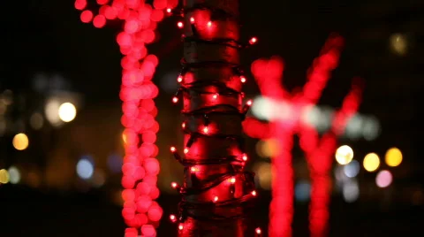 8920696 Stock Footage 641488