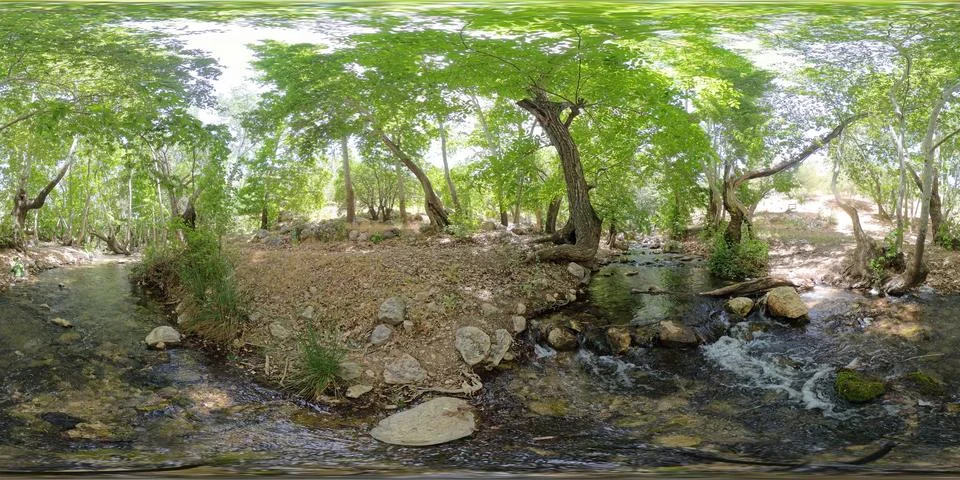 8K 360° VR Forest Stream at Tang-e Ghureh Dan Stock Photos