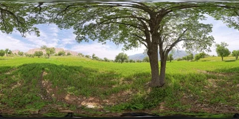 8K 360 VR Landscape of Green Valley Stock Footage 340021324