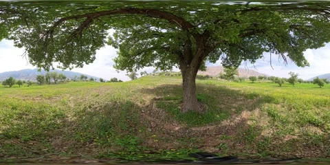 8K 360 VR Landscape of Green Valley Stock Footage 340022909