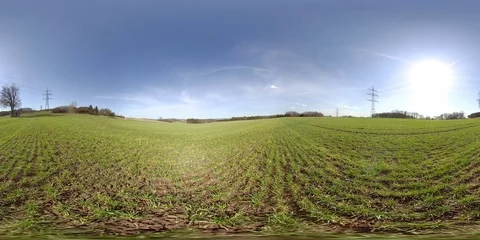 8K 360 VR - open field in spring, blue sky, grass growing , wind blowing Stock Footage 92053758