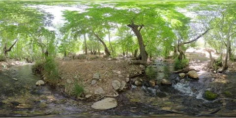 8K 360° VR Video of Forest Stream at Tang-e Ghureh Dan Stock Footage 340053604