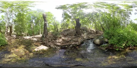 8K 360° VR Video of Forest Stream at Tang-e Ghureh Dan Stock Footage 340056739