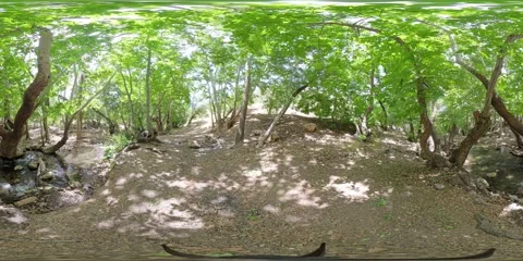 8K 360° VR Video of Forest Stream at Tang-e Ghureh Dan Stock Footage 340215922