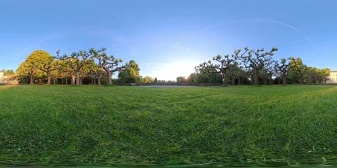 8K 360 VR Video in Tree-Surrounded Garden Area of Schnwasser Park, Germany Video stock 311631714