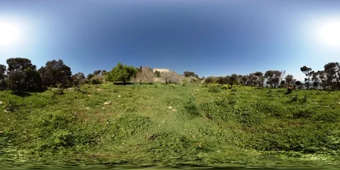 8K 360VR Video Mount Tabor Grass And Cows Stock Footage 105537706