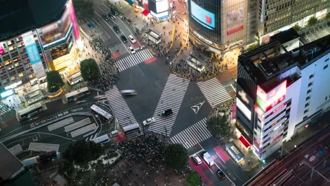 8K 8K Time lapse overview of Shibuya Scramble Crossing at night in Tokyo, Japan Stock Footage 219953920