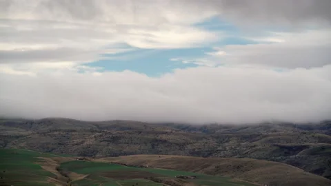 8K After the rain on the sparse bush hills Stock Footage 171761265