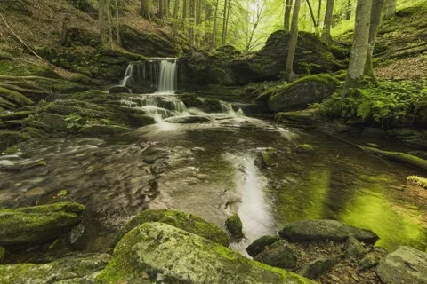 8K Autumn waterfall Stock Footage 255507798