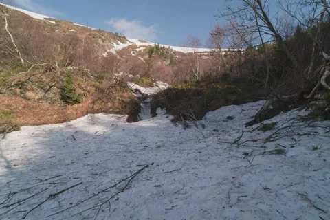 8K Avalanche area with broken branches and spring stream Stock Footage 256142240