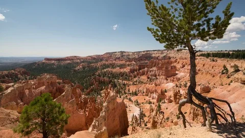 8K Bryce Canyon Hoodoos Time Lapse of Rock Formation Stock Footage 79736052