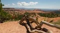 8K Bryce Canyon Hoodoos Time Lapse Rock Formation 4k or 4k+ Resolution