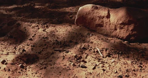 8K Close up desert ground texture Stock Footage 143616433