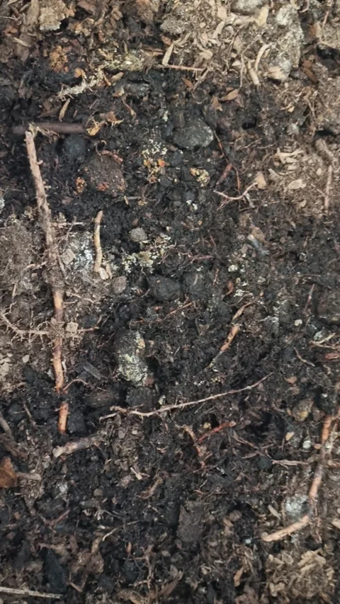 8K Close Up of Organic Compost Soil Texture Background Stock Footage 339876700
