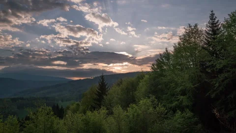 8K Cloudy sunset over the forest Video stock 255841033