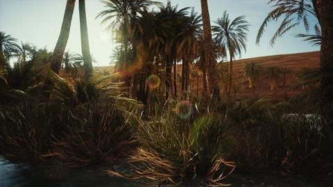 8K desert oasis with palms and lake Stock Illustration