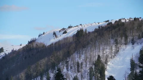 8K First Snow In The Mixed Forest Stock Footage 171747982