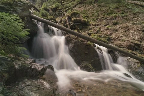 8K Forest waterfall Stock Footage 256149341