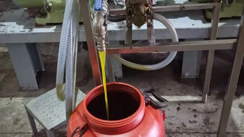 8K Fresh Extra Virgin Olive Oil Flowing from Extractor in Olive Mill 스톡 동영상 320830778