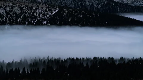 8K Full moon midnight clouds rolling in the dark forest Stock Footage 255608314