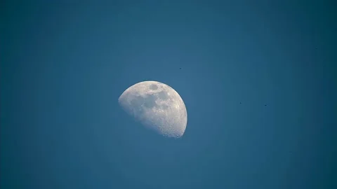 8K Half Moon Rising in Cloudless Blue Sk... | Stock Video | Pond5