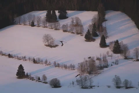 8K Long shadows on the winter landscape Stock Footage 256025256