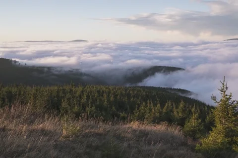 8K low clouds over the forest and sunset colours Stock Footage 255913650
