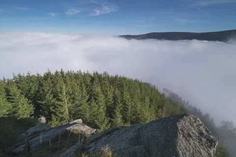8K low clouds rolling over the green forest Stock Footage 255930497